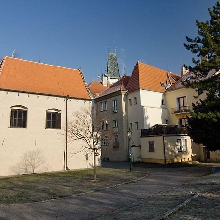 Apartman U Gotickeho Dvojcete Літомержице Екстер'єр фото